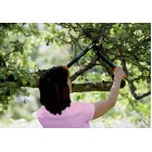  Fiskars Powergear™ (S) L70 Ψαλίδι Κλάδου 46cm για Κλαδιά έως 38mm