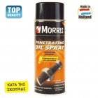 MORRIS ΣΠΡΕΥ ΑΝΤΙΣΚΩΡΙΑΚΟ - ΛΙΠΑΝΤΙΚΟ 400ML MORRIS 